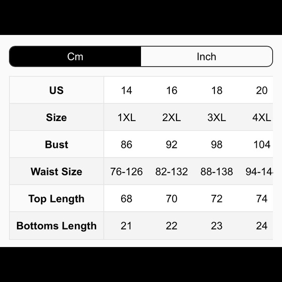 PLUS CONTRAST LACE TASSEL HEM MESH SLIP - Picture 4 of 4